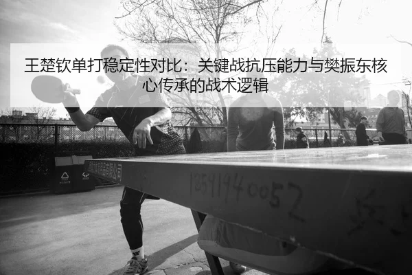 wang-chu-qin-dan-da-wen-ding-xing-dui-bi-guan-jian-zhan-kang-ya-neng-li-yu-fan-zhen-dong-he-xin-chuan-cheng-de-zhan-shu-2-242.jpg