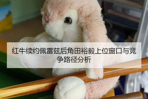 红牛续约佩雷兹后角田裕毅上位窗口与竞争路径分析